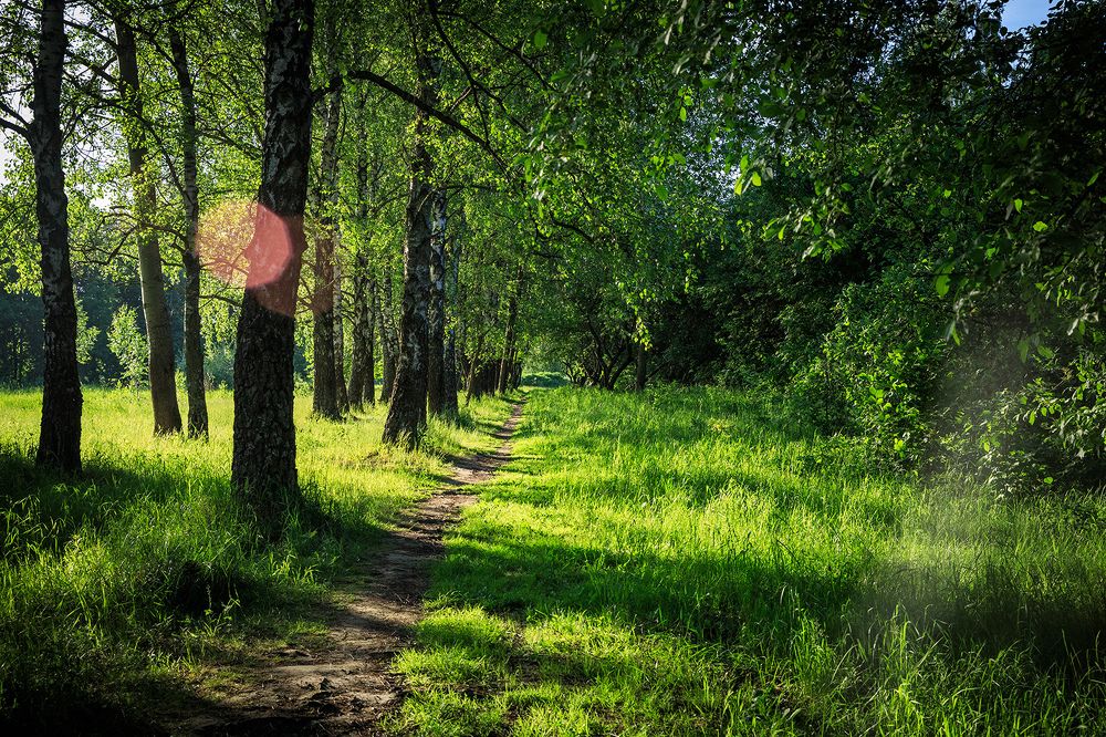 Photograph by Делана Романова