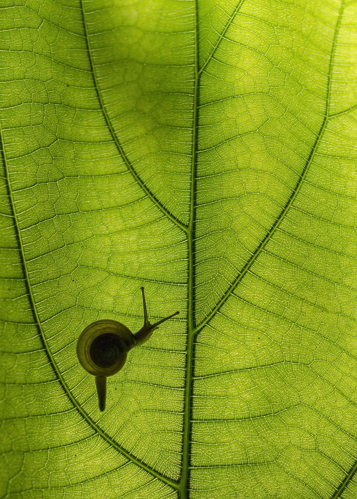 Photograph by Dibyajyoti Nath