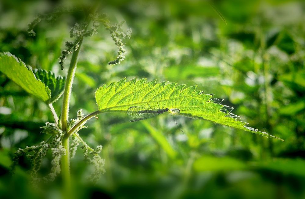 Photograph by Epp Tappel