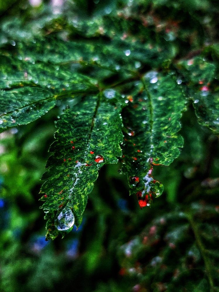 Photograph by Ирина Лучинская