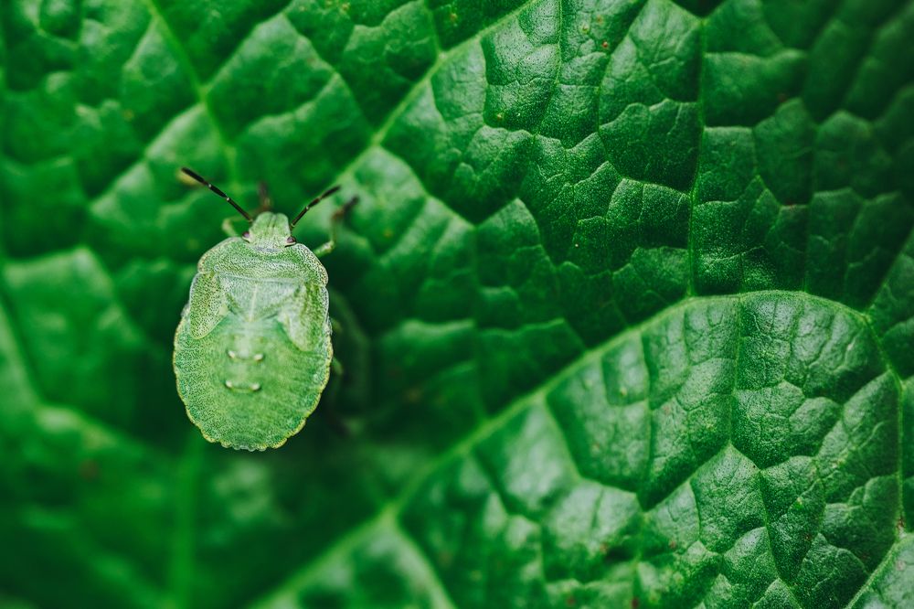 Photograph by Kamil Stępień