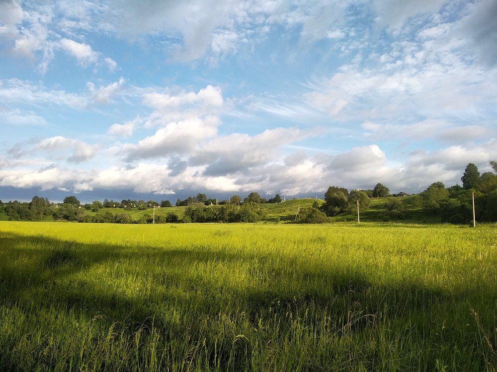 Photograph by Ольга Антохина