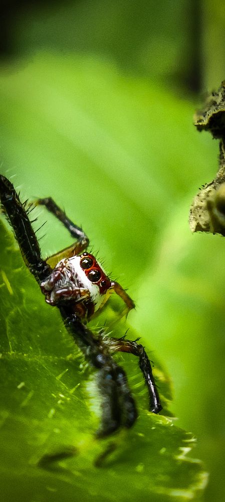 Photograph by Somasekhar Reddy