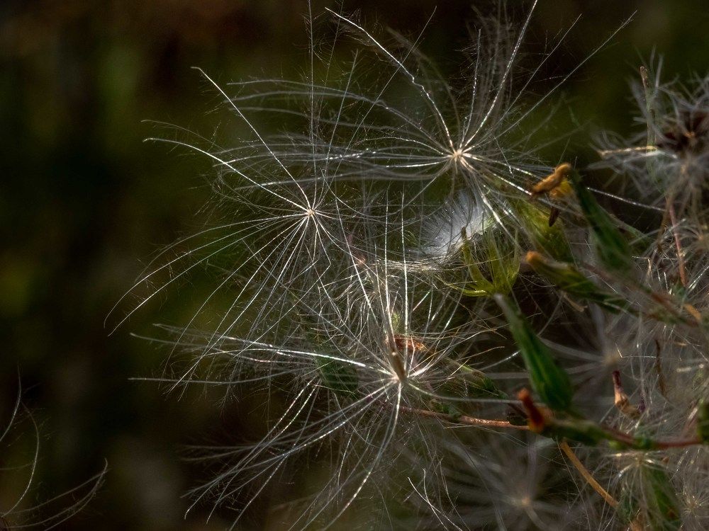 Photograph by mikhail goryachev