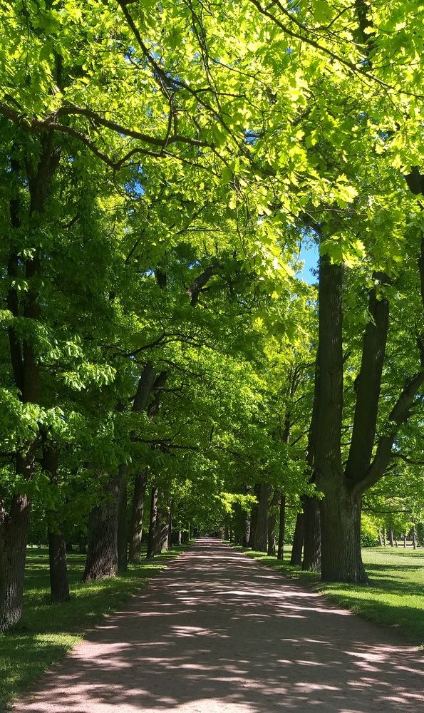 Photograph by Лейсан