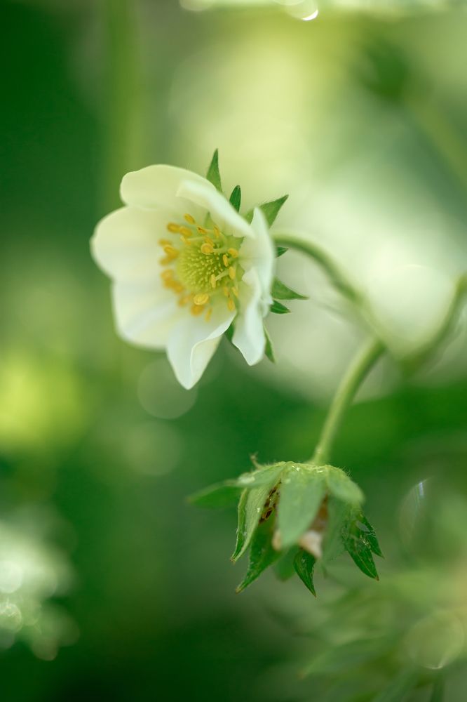 Photograph by Анастасия Петрова