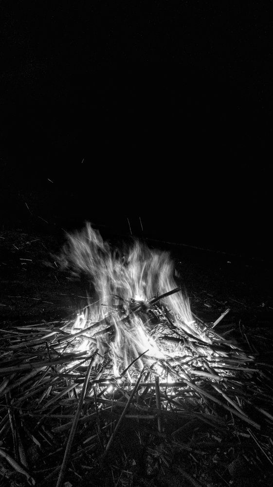 Photograph by Mostafa Mortazavi