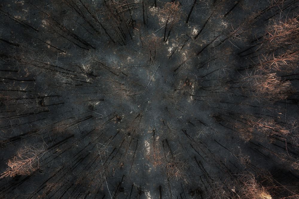 Photograph by Поляков Михаил