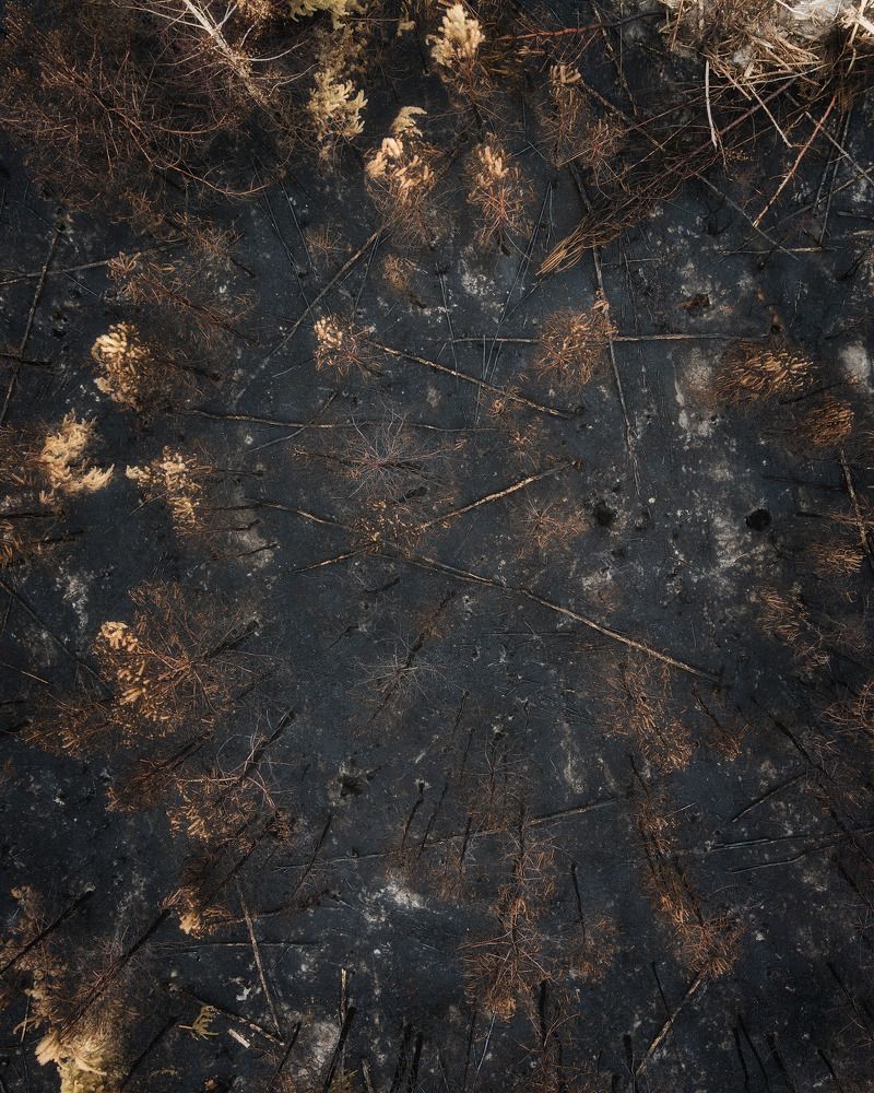 Photograph by Поляков Михаил