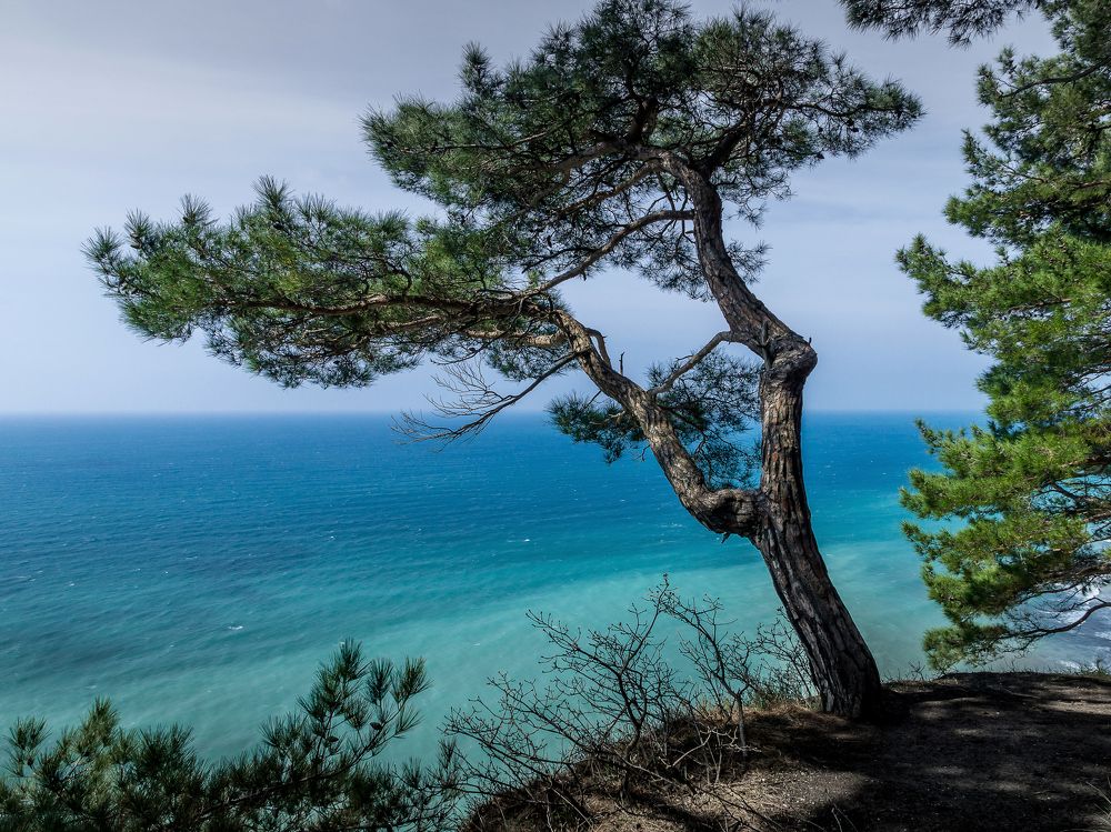 Photograph by Андрей Евтеев