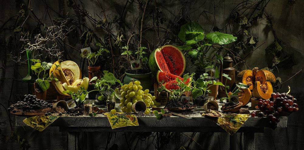 Photograph by Eugeniu Novac