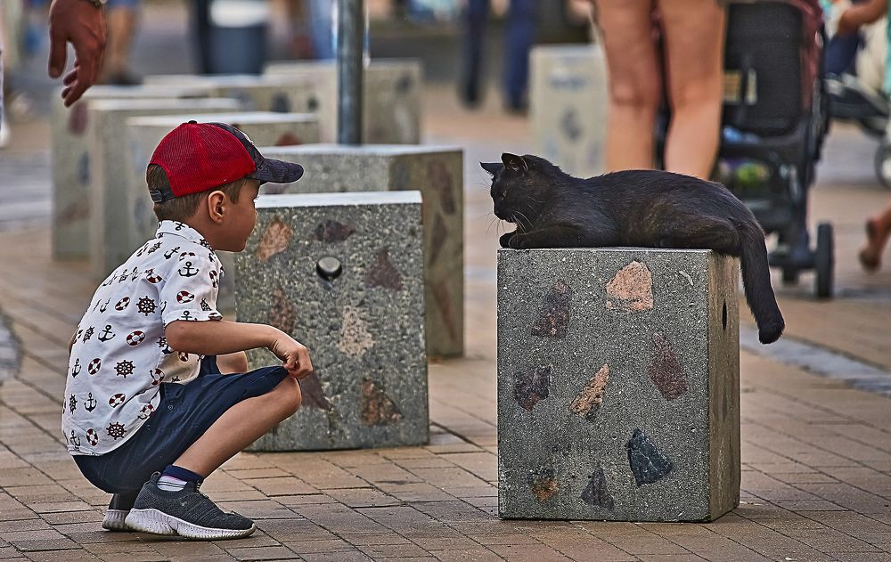 Сосиску принес?