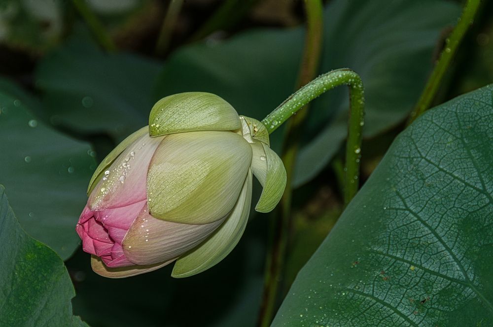 Photograph by Андрей Евтеев