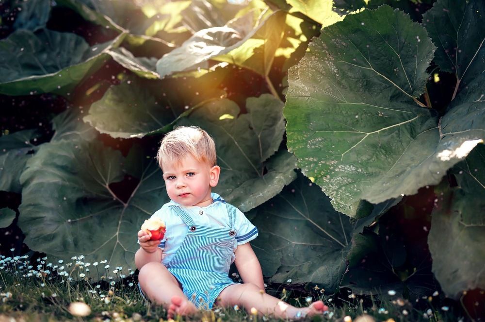 Фотография автора Anna NovaLova