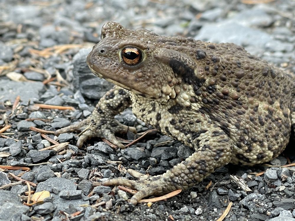 Фотография автора Anna NovaLova