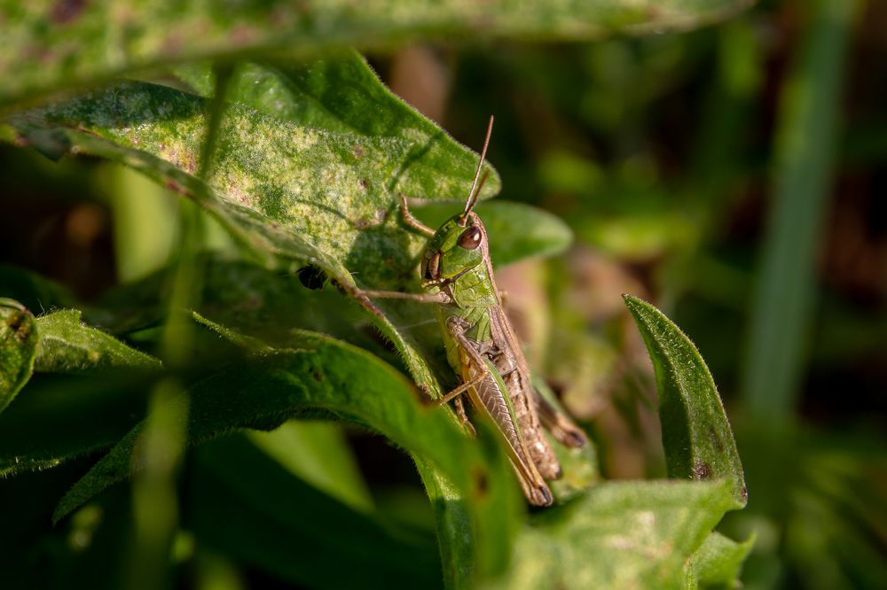 Photograph by Наталья Рябоконенко