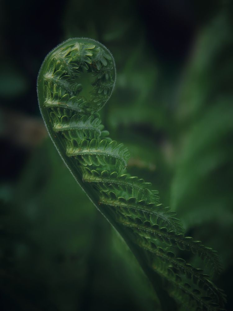 Photograph by Светлана Филимонова