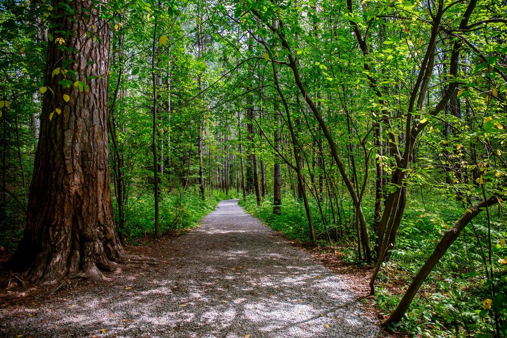 Photograph by Ксения Фёдорова