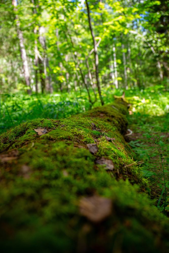 Photograph by Ксения Фёдорова