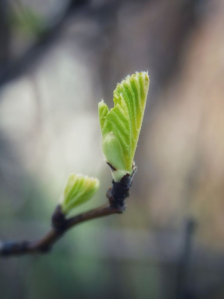 Photograph by Светлана Филимонова