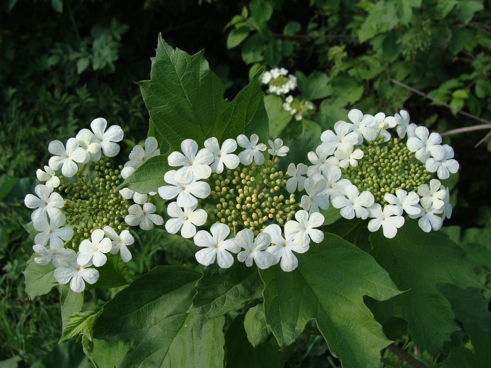 Photograph by Николай Худяков