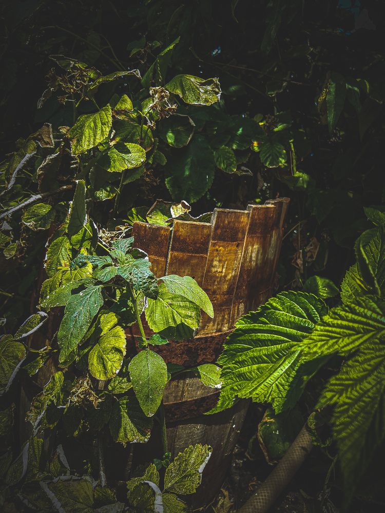 Photograph by Марина Шаповаленко