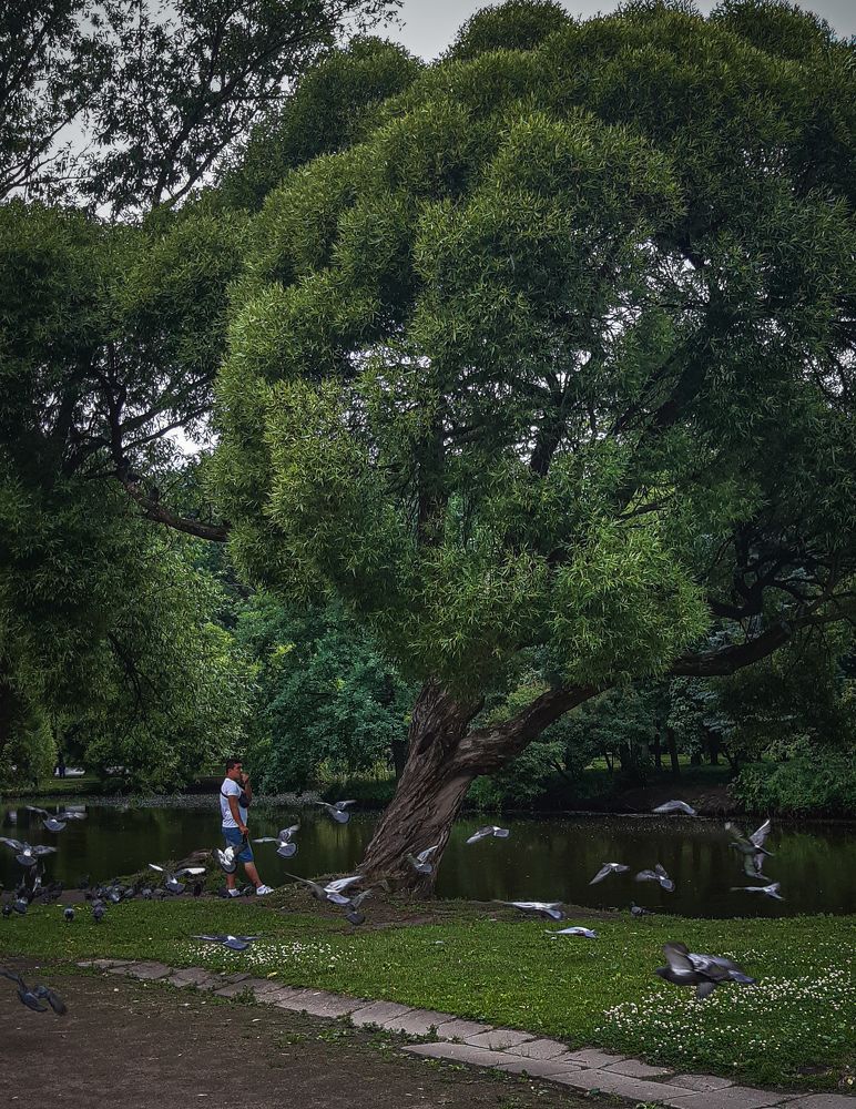 Photograph by Марина Шаповаленко