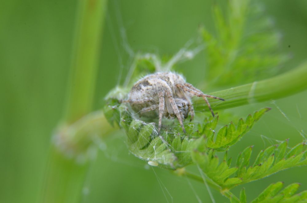 Photograph by Ольга Зиновьева