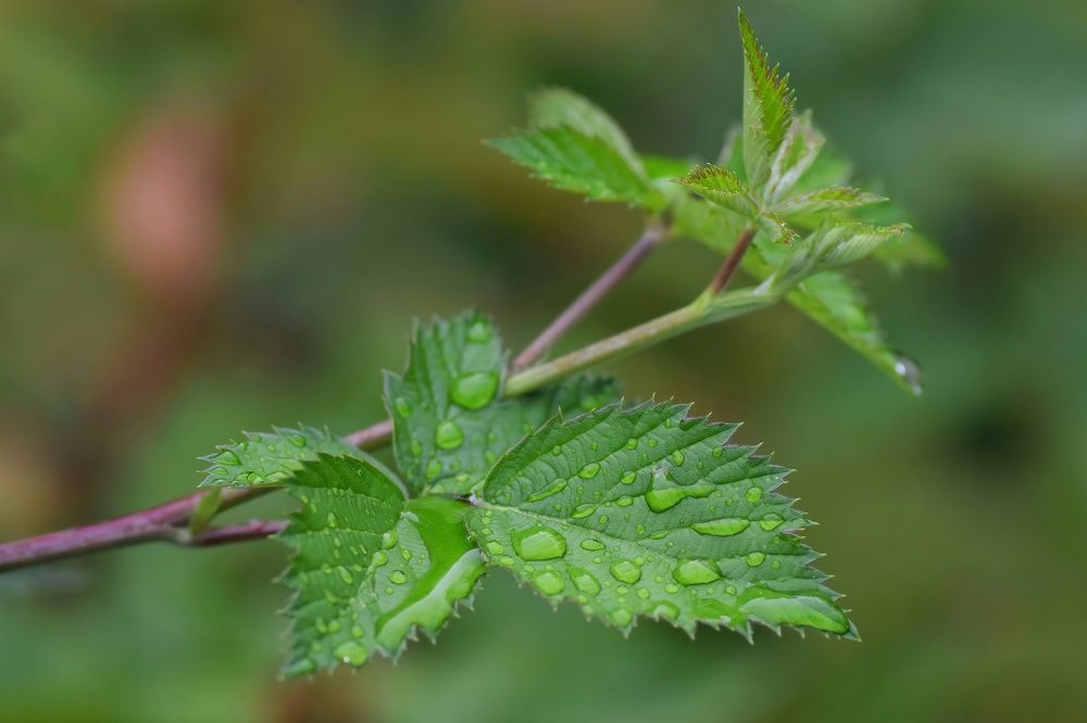 Photograph by Michael Gerhold