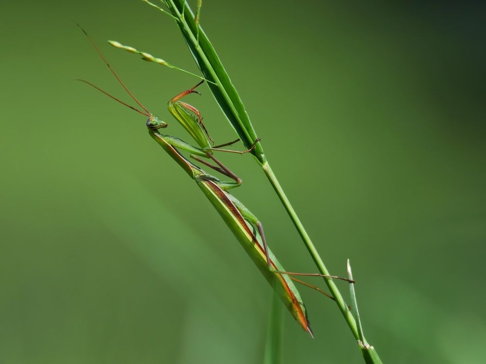 Photograph by Michael Gerhold