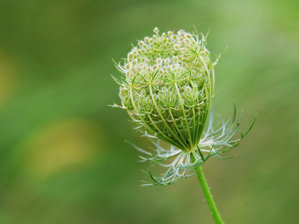 Photograph by Michael Gerhold