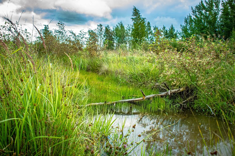 Photograph by Владимир Поздняков
