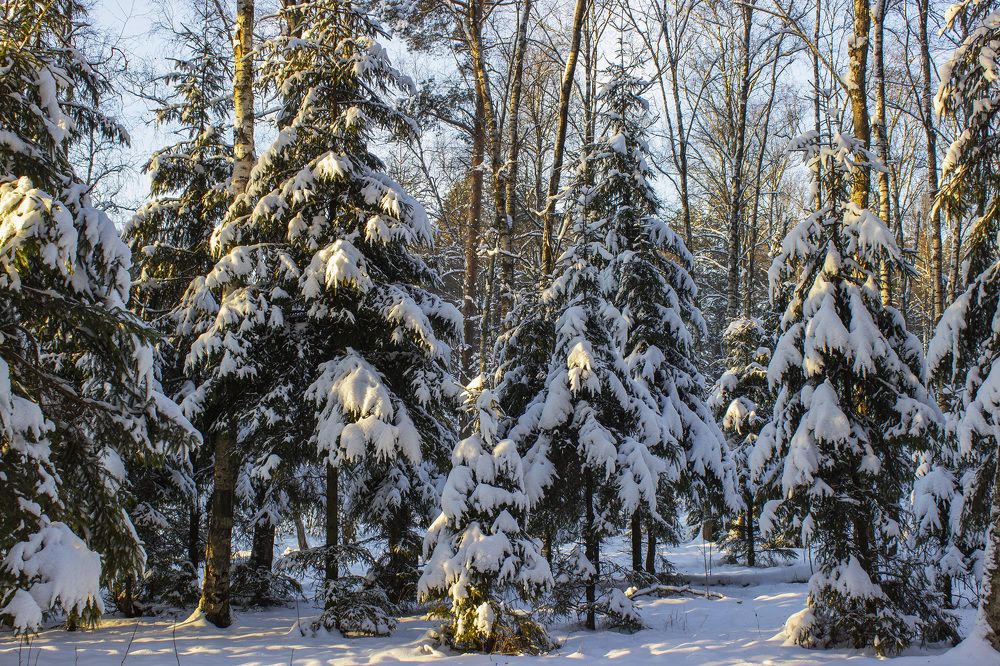 Photograph by  Vладимир