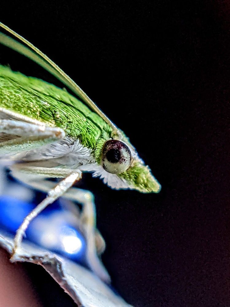 Photograph by Sai Pixels