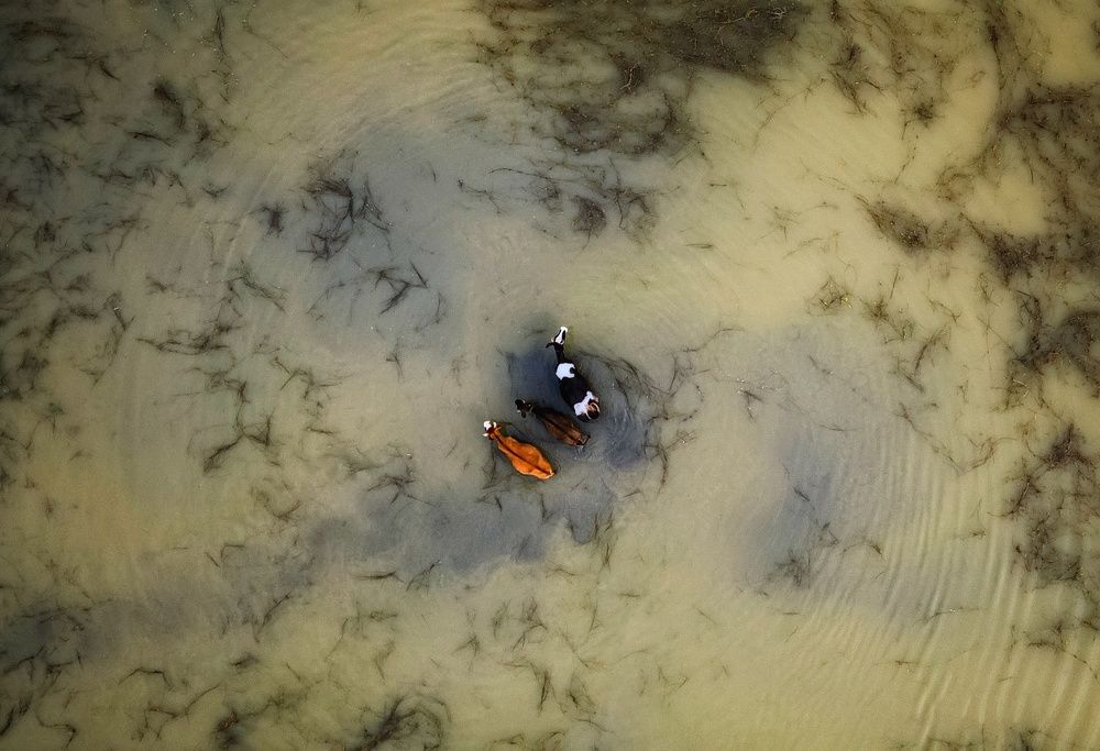 Photograph by Павел Сагайдак