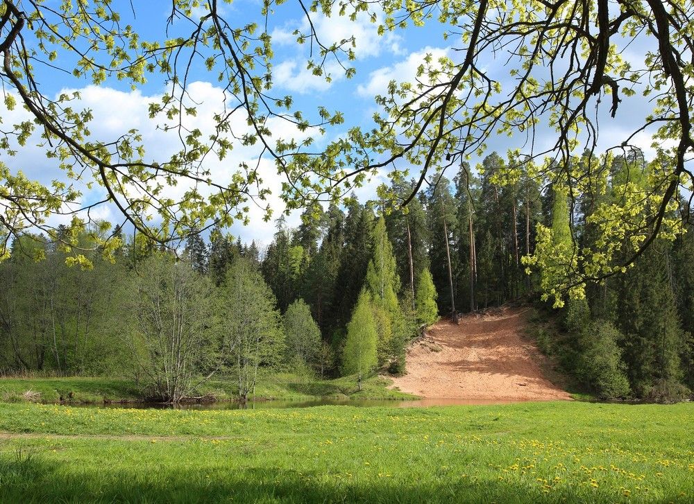 Photograph by Илья Савицкий