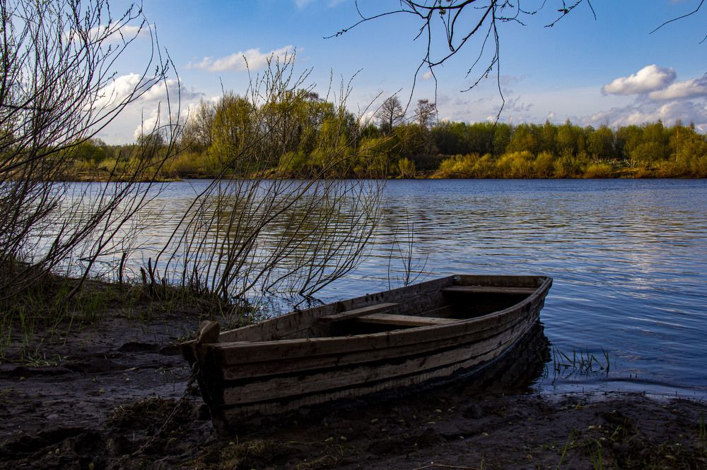 Photograph by Дмитрий Селицкий