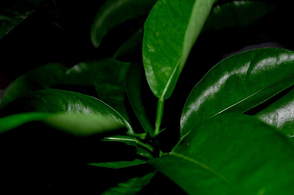 Photograph by Валерий Глоба