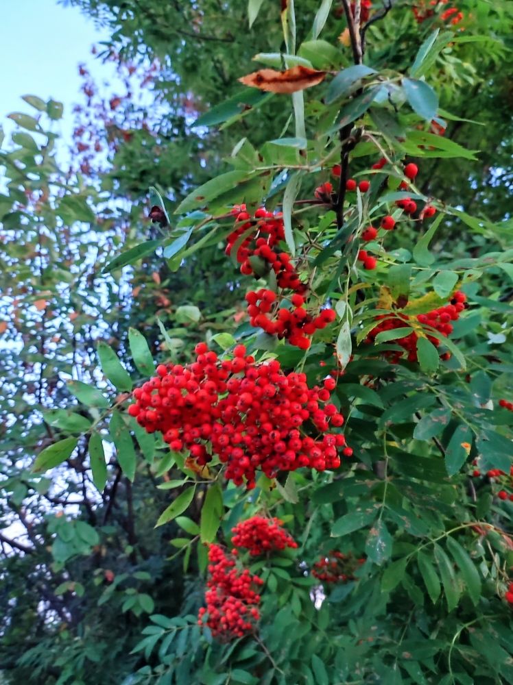 Photograph by Надежда