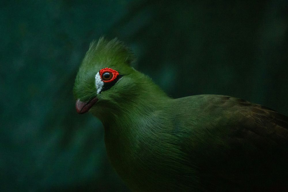 Photograph by Юлия Лайхо