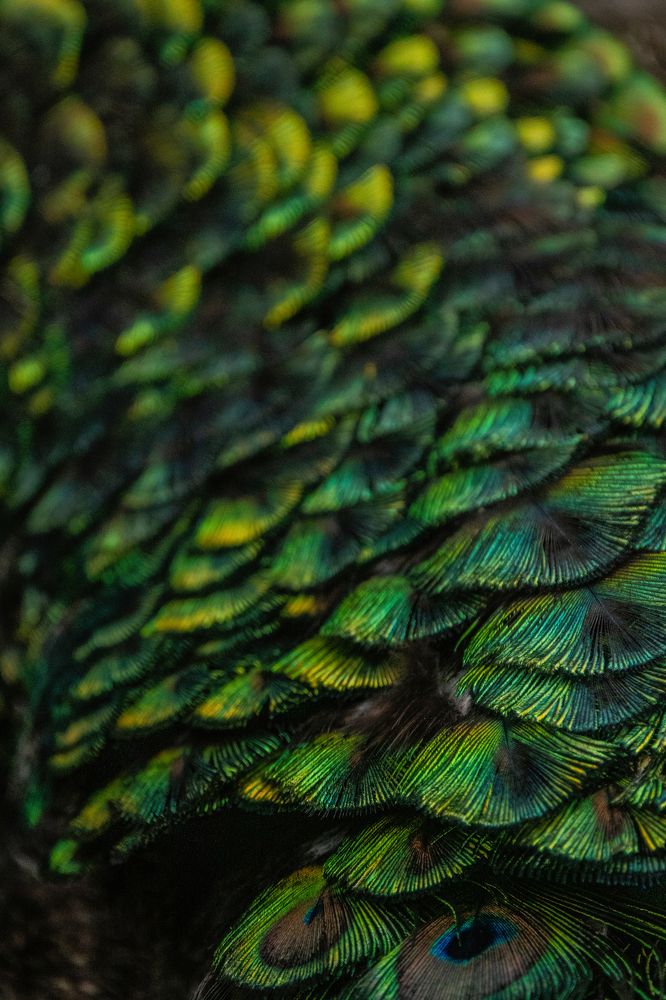 Фотография автора Юлия Лайхо