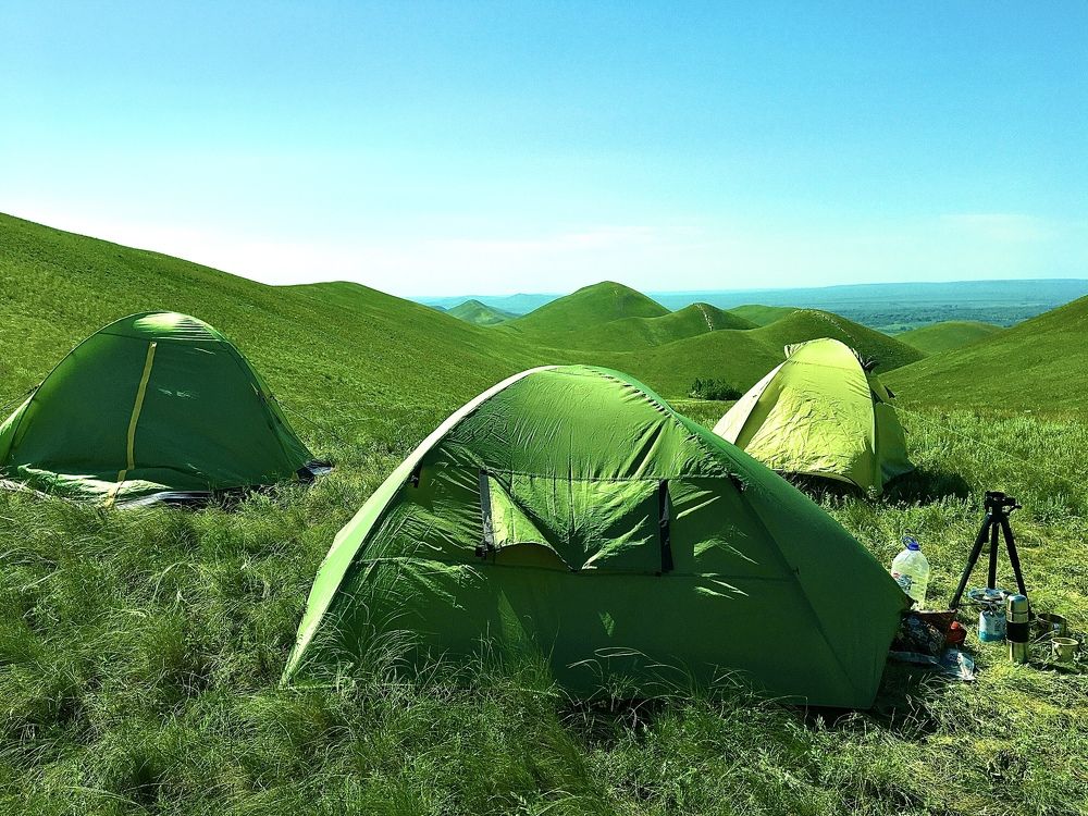 Ночлег близ динозавра