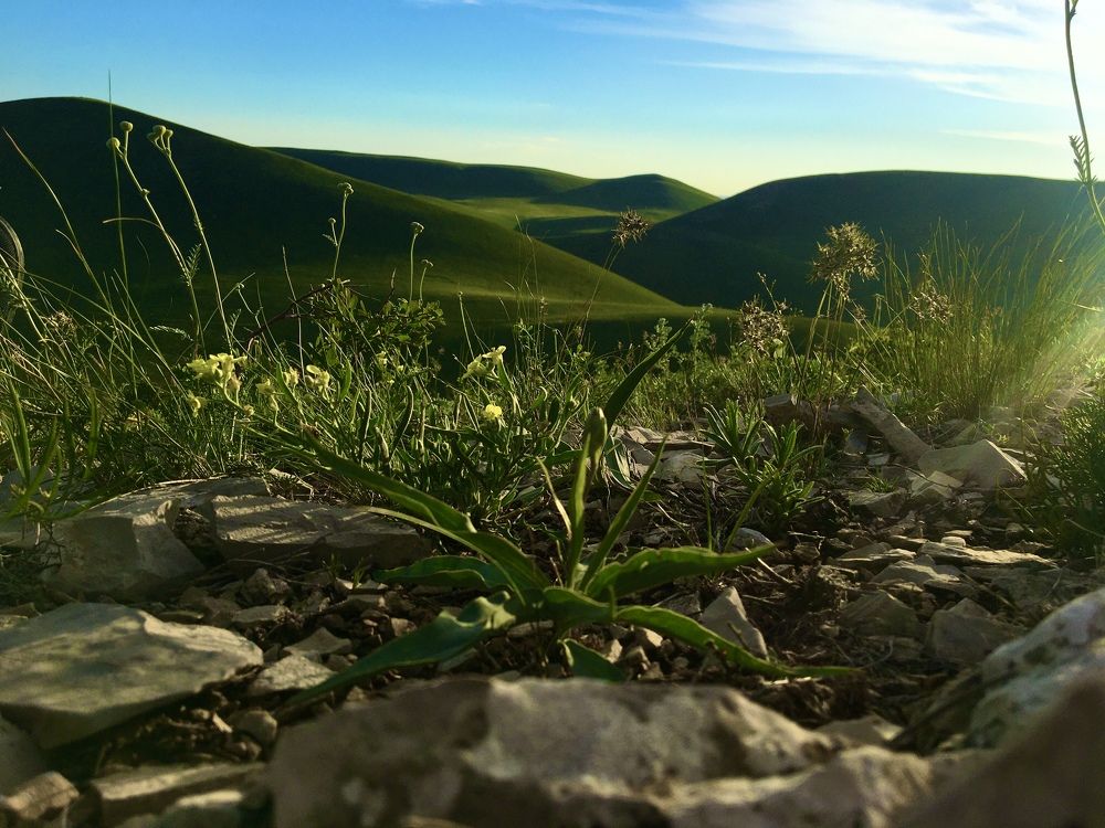 Photograph by Тимур  Сайфутдинов