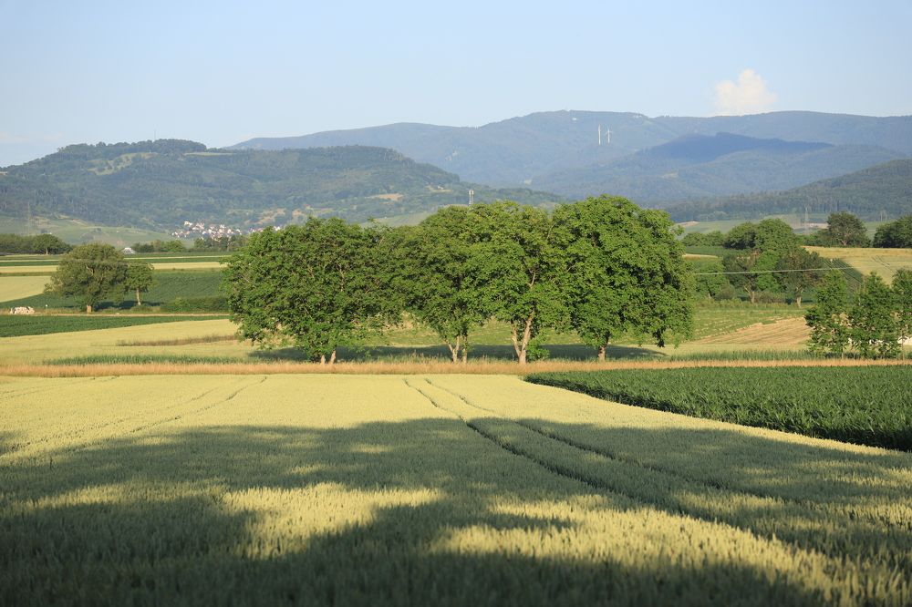 Photograph by Tatyana Pomogaeva