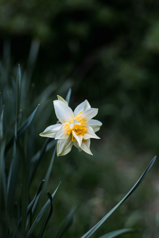 Photograph by Мария Федорова