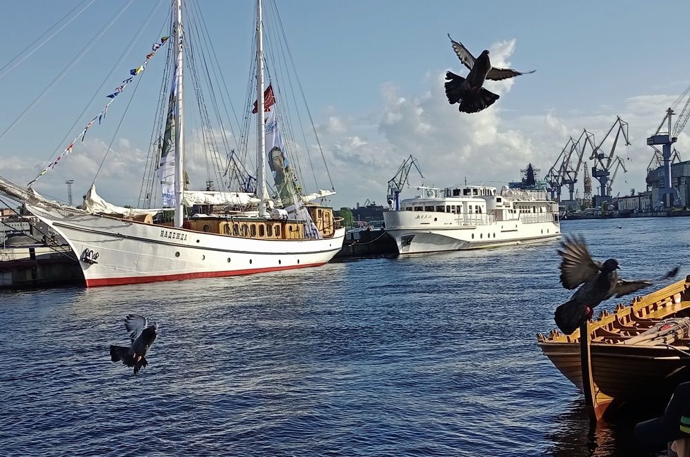 Photograph by Людмила Викулова