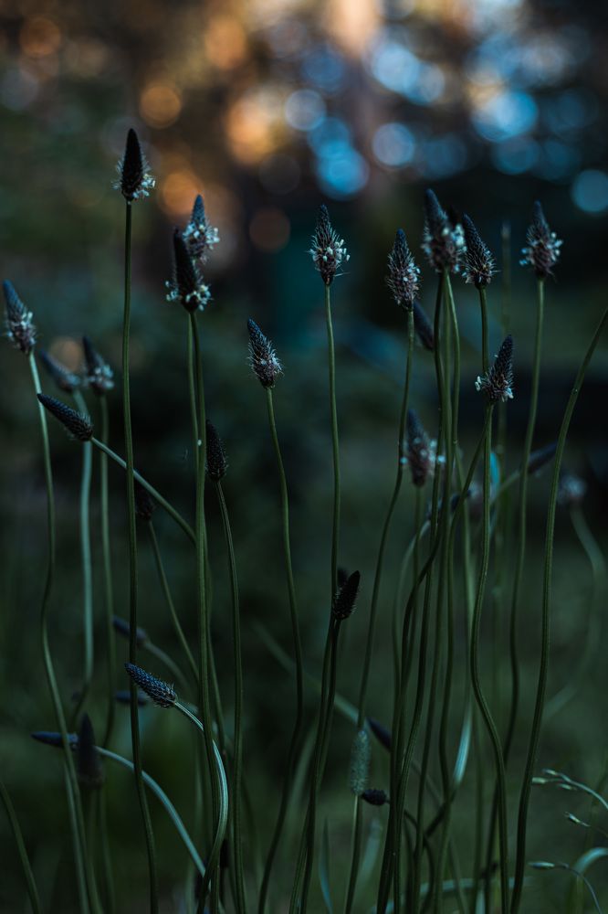 Photograph by Мария Федорова