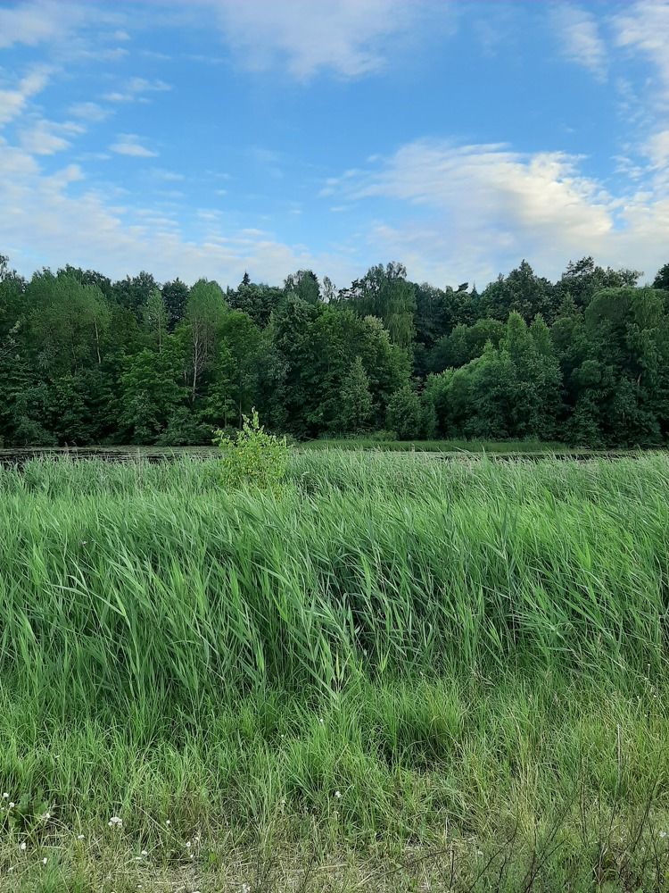 Photograph by Наталья Шехова