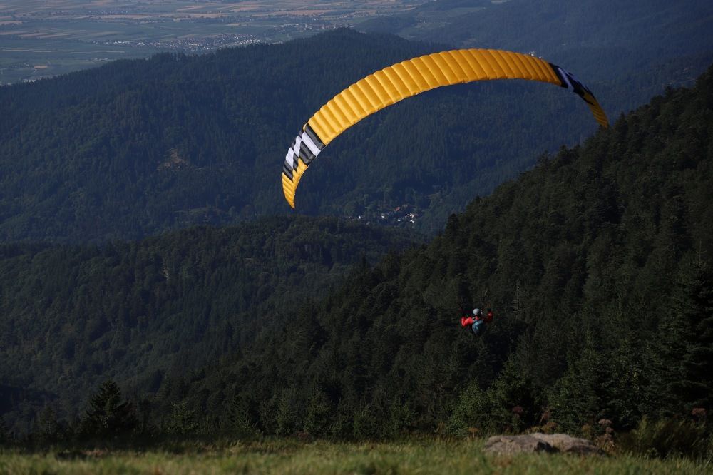 Photograph by Tatyana Pomogaeva