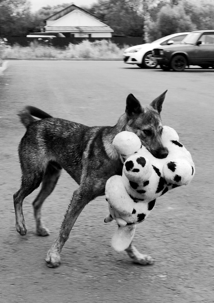 Photograph by Ольга Бондаренко